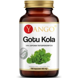 Yango Gotu kola - Ekstrakt 10% Saponin Triterpenowych 100kapsułek cena 50,50zł