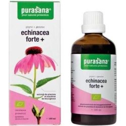 Echinacea Forte (Jeżówka Purpurowa) BIO 100ml Purasana cena 49,95zł