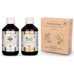Probiotyczny ekstrakt ziołowy Probioborelio bezglutenowy (2x300ml) BIO Joy Day cena 117,75zł