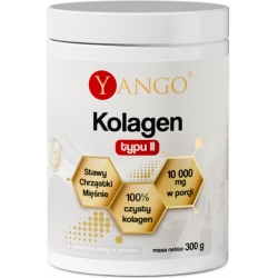 Yango Kolagen typu II 300g cena 91,90zł