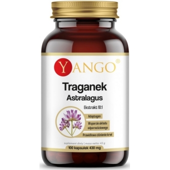 Yango Traganek Astragalus Ekstrakt 10:1 100kapsułek cena 42,90zł