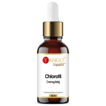 Yango Chlorofil z Morwy Białej 30ml cena 33,50zł