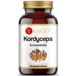 Yango Kordyceps Ekstrakt 10% Polisacharydów 90kapsułek cena 62,80zł