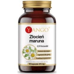 Yango Złocień Maruna Ekstrakt 90kapsułek cena 39,90zł