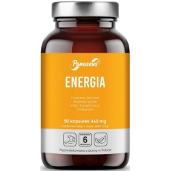Yango Panaseus Energia 50kapsułek cena 33,90zł