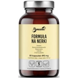 Yango Panaseus Formuła na Nerki 50kapsułek cena 27,90zł