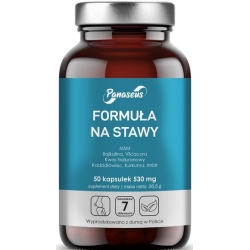 Yango Panaseus Formuła na Stawy 50kapsułek cena 33,90zł