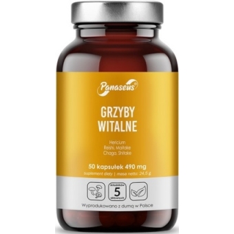 Yango Panaseus Grzyby witalne 50kapsułek cena 34,50zł