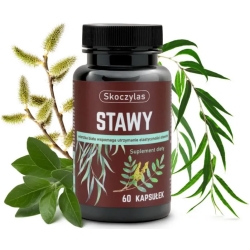 Skoczylas Stawy Kadzidłowiec + Wierzba + Ashwagandha + Sosna 60kapsułek cena 96,90zł