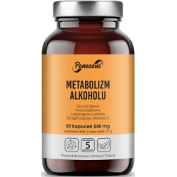 Yango Panaseus Metabolizm Alkoholu 50kapsułek cena 27,75zł