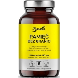 Yango Panaseus Pamięć bez granic 50kapsułek cena 35,90zł