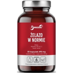 Yango Panaseus Żelazo w normie 50kapsułek cena 29,80zł