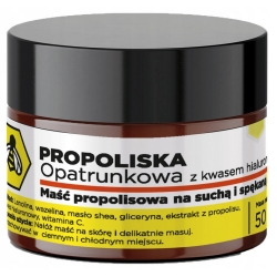Propoliska maść propolisowa opatrunkowa z kwasem hialuronowym 50g API Effect cena 54,90zł