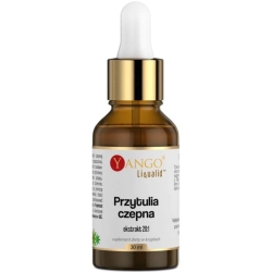 Yango Przytulia czepna Ekstrakt 20:1 30ml cena 41,98zł