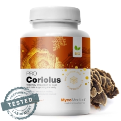 Mycomedica Bio Coriolus PRO 35% BIO 90kapsułek cena 149,00zł