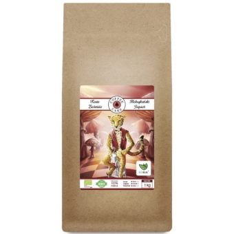 ECOBLIK Kawa Meksykański Jaguar (Arabica 100%) EKO 1kg cena 125,00zł