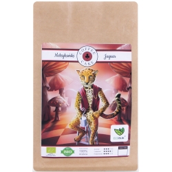 ECOBLIK Kawa Meksykański Jaguar (Arabica 100%) EKO 200g cena 30,00zł