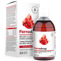 Aura Herbals Ferradrop Żelazo + kwas foliowy płyn 500ml cena 21,50zł