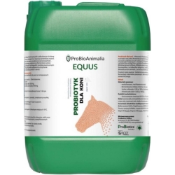 ProBiotics Equus probiotyk dla koni płyn 10 litrów ProBioAnimalia cena 259,90zł