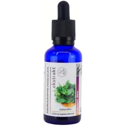 Organis Andrographis paniculata wyciąg 50ml cena 79,00zł