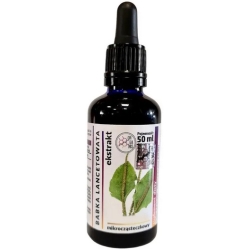 Organis Babka lancentowata wyciąg 50ml cena 79,00zł