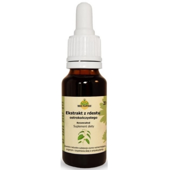 Medi-Flowery Ekstrakt z Rdestu Ostrokończystego krople 20ml PROMOCJA cena 34,50zł