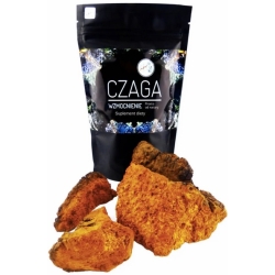 Organis Chaga (Czarna huba brzozowa) 100g cena 49,90zł