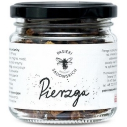 Pierzga pszczela 100g Pasieki Rodziny Sadowskich cena 60,50zł
