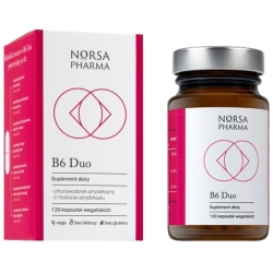 NORSA B6 Duo 120kapsułek Norsa Pharma cena 60,90zł