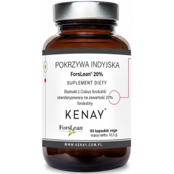 Kenay Pokrzywa indyjska ForsLean® 20% 60kapsułek cena 50,80zł