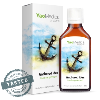YaoMedica Nalewka 042 - Zakotwiczona myśl 50ml cena 70,00zł