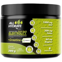 Aliness ALLHydrate Elektrolity + Creatine (Creapure®) Green Apple proszek 380g cena 79,90zł