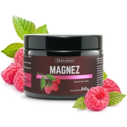 Skoczylas Magnez z maliną proszek 240g cena 59,00zł