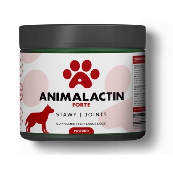Animalactin Forte dla dużych psów na stawy proszek 110g cena 141,90zł