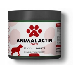Animalactin Forte dla dużych psów na stawy proszek 110g cena 141,90zł