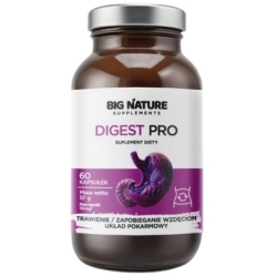 Big Nature Digest Pro 60kapsułek cena 35,90zł