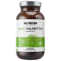 Big Nature Saw Palmetto 60kaps cena 45,50zł