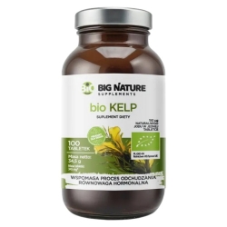 Big Nature Kelp 100tabletek cena 18,50zł