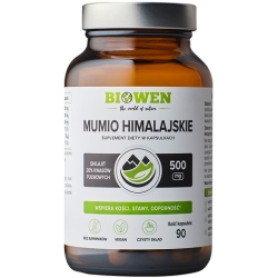Biowen Mumio himalajskie Shilajit 586mg 90kapsułek cena 54,99zł