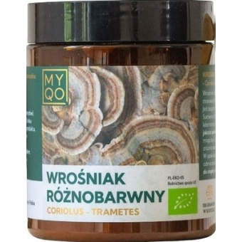 MYQO Coriolus Wrośniak Trametes BIO 100g cena 205,00zł