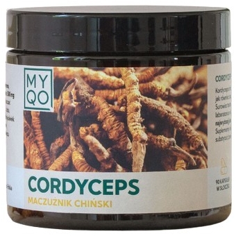 MYQO Cordyceps Sinensis (maczużnik chiński) 90kapsułek cena 123,90zł