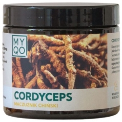 MYQO Cordyceps Sinensis (maczużnik chiński) 90kapsułek cena 123,90zł