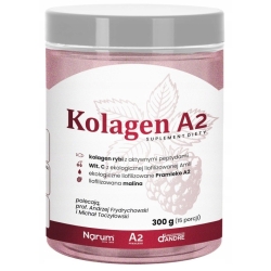 Narum Kolagen A2 proszek 300g Vitaway LLC cena 256,90zł