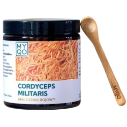 MYQO Cordyceps militaris Maczużnik bojowy proszek 100g cena 130,00zł