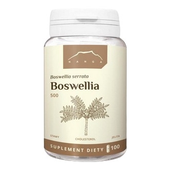 Nanga Boswellia 100kapsułek cena 35,80zł
