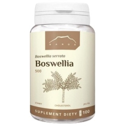 Nanga Boswellia 100kapsułek cena 35,80zł