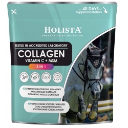 Holista Equine Collagen z witamina C i siarką MSM dla koni 3 in 1 proszek 600g cena 112,90zł