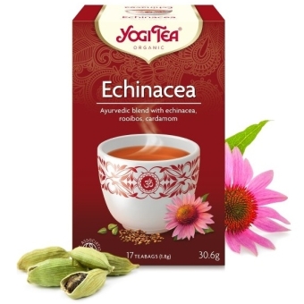 Herbata Echinacea 17 saszetek x 1,8g BIO Yogi Tea cena 11,45zł