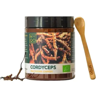 MYQO Cordyceps sinensi Maczużnik chiński proszek 100g cena 249,90zł
