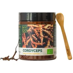 MYQO Cordyceps sinensi Maczużnik chiński proszek 100g cena 249,90zł